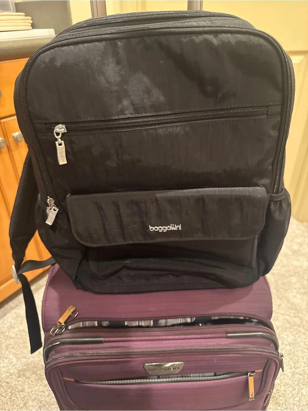 Baggallini Black Everyday Backpack with Front Pocket